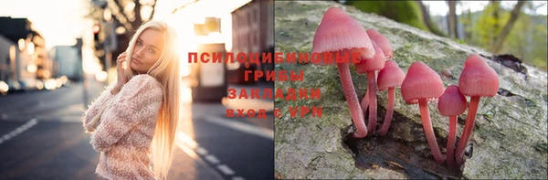 дурь Белокуриха