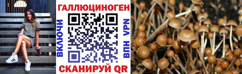 дарк нет наркотические препараты  Володарск  Галлюциногенные грибы мицелий  мега как зайти 